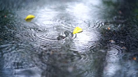 下雨天图片|【雨天图片】高清唯美下雨天图片素材下载网